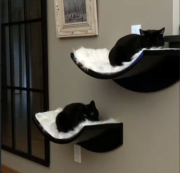 Lotus Leaf cat shelf