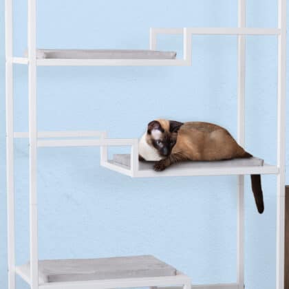 Siamese cat resting on a white metal cat tree with gray cushion, in front of a light blue wall.