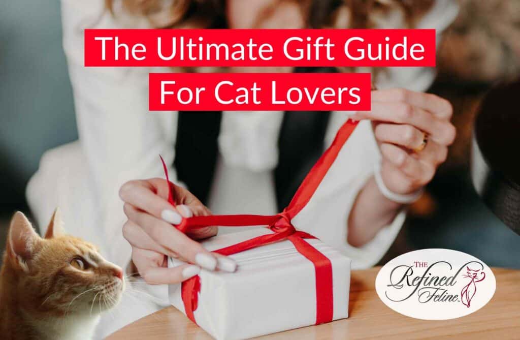 A person ties a red ribbon on a white gift box as a curious cat watches; text reads “Best Gifts for Cat Lovers – The Ultimate Gift Guide.”.