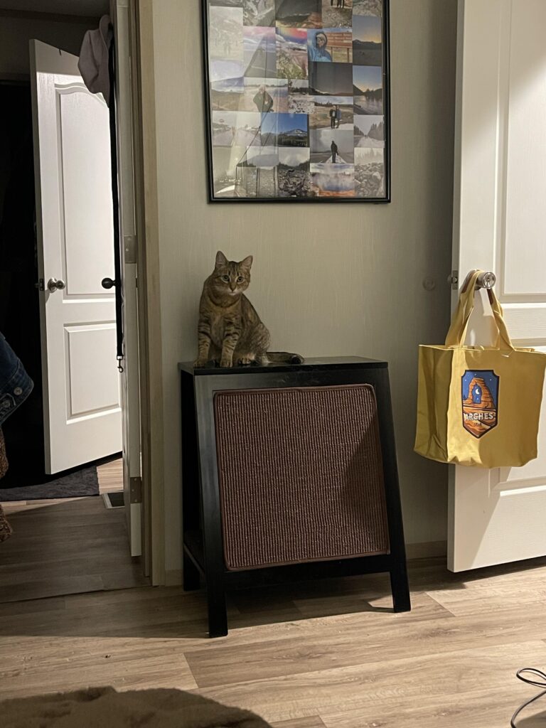 Image #1 from Jessica Adams