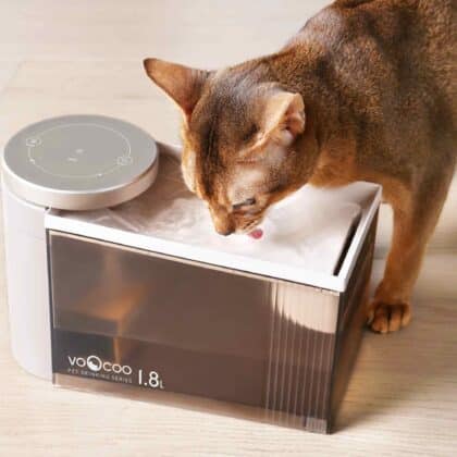flow pet water fountain