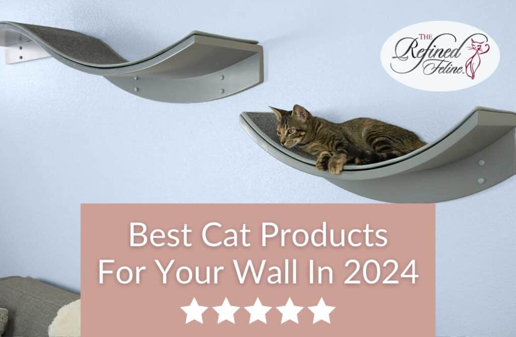 Tabby cat on curved wall shelf above sofa, three BlogNewsletter icons, text "Best Cat Products For Your Wall In 2024," five stars.