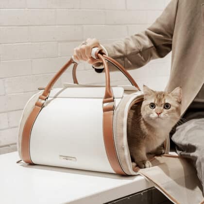cat carrier bag