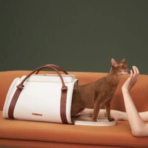 handheld cat carrier