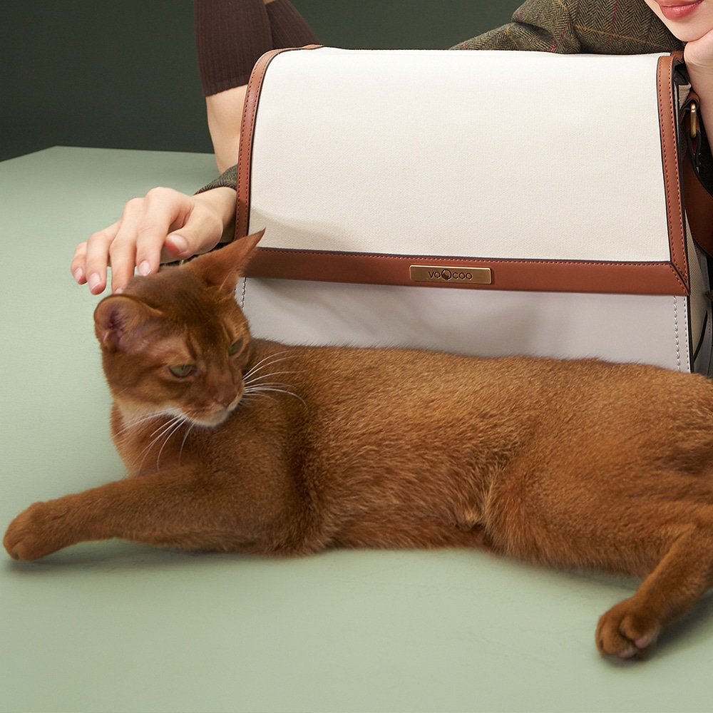 cat shoulder bag