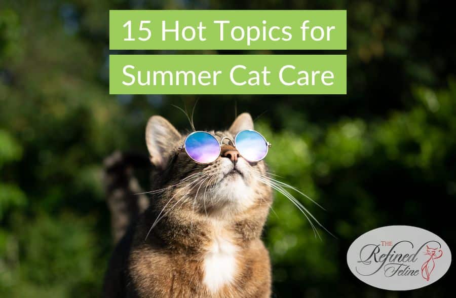 Cat wearing mirrored sunglasses relaxes outside; overlaid text reads "15 Hot Topics for Summer Cat Care." Refined Feline logo in corner.