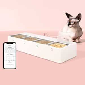 symba wet food feeder
