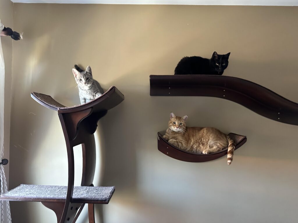 Image #1 from David Crane