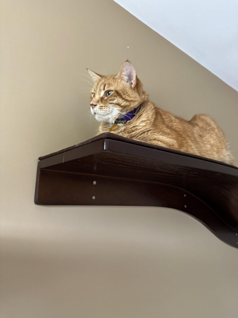 Image #2 from David Crane