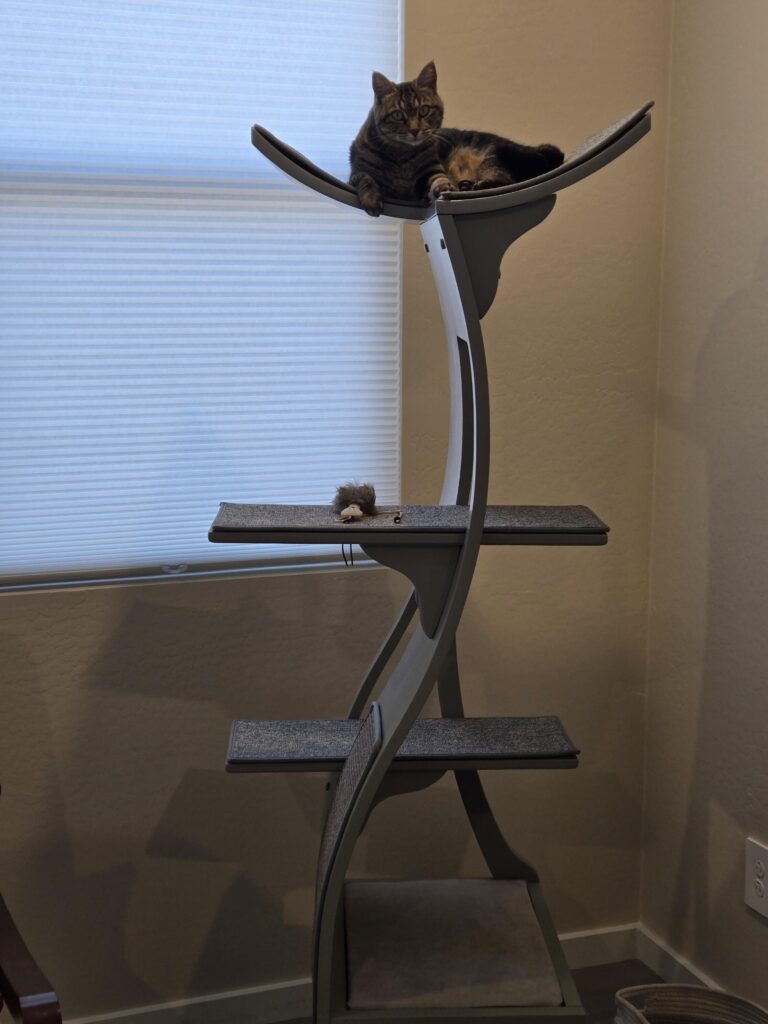 Tabby cat lounges on the Lotus Cat Tower by Paula Krone; toy mouse sits on lower shelf near window with closed blinds.
