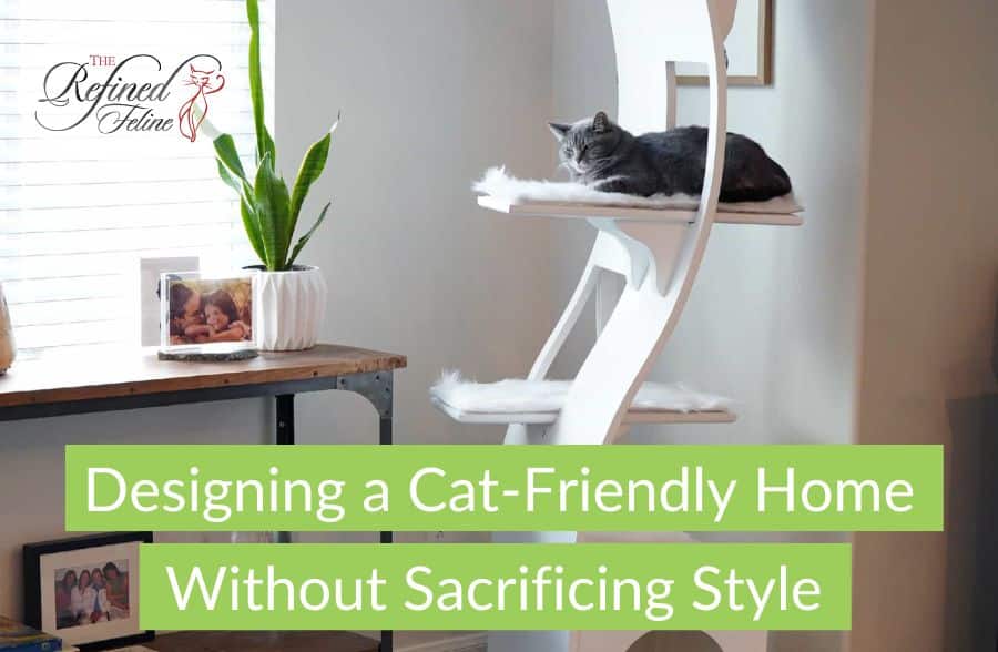 Designing a Cat-Friendly Home Without Sacrificing Style