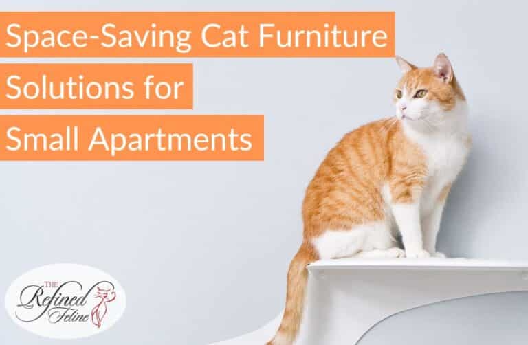 Picture of Space-Saving Cat Furniture for Small Homes - The Refined Feline