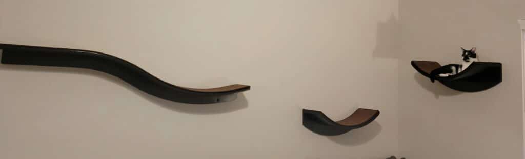 Image #1 from Brieana Reynolds