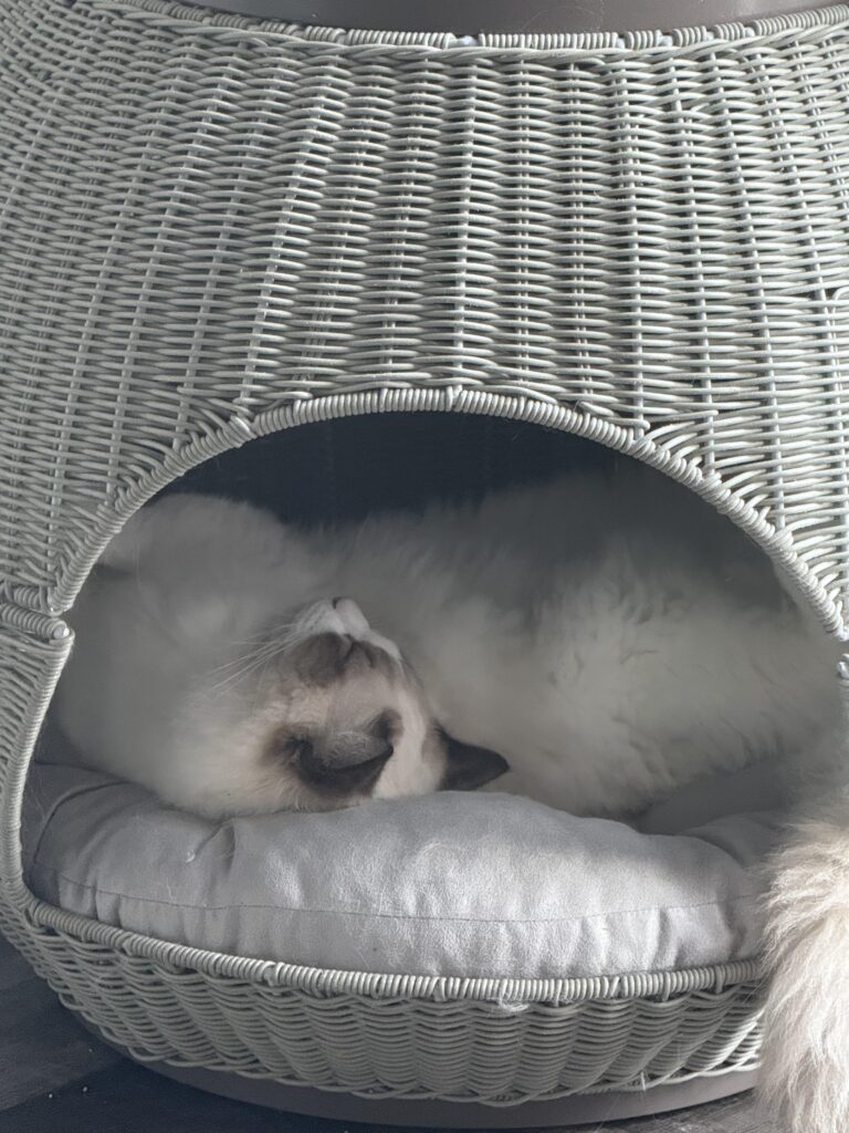 Image #1 from Monica Cermeno