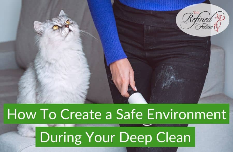 Person rolling lint off black pants while a gray cat looks up. Text reads: Spring Cleaning with Cats—How to Create a Safe Environment During Your Deep Clean.