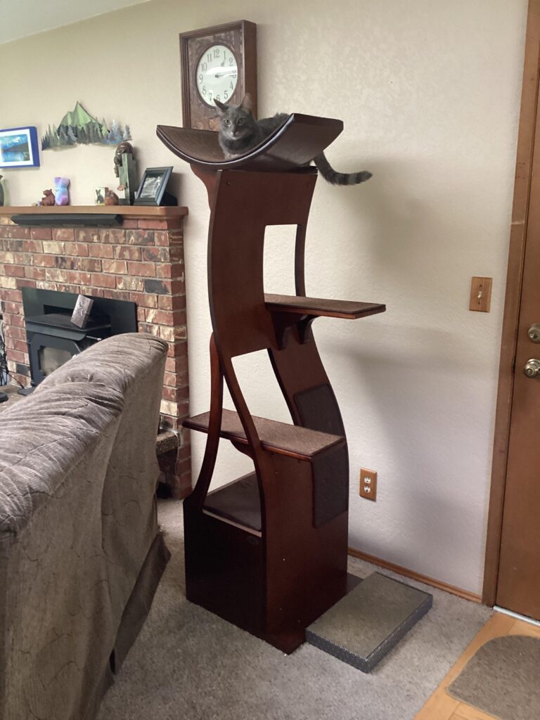 Image #1 from Rocket and Ripple C.