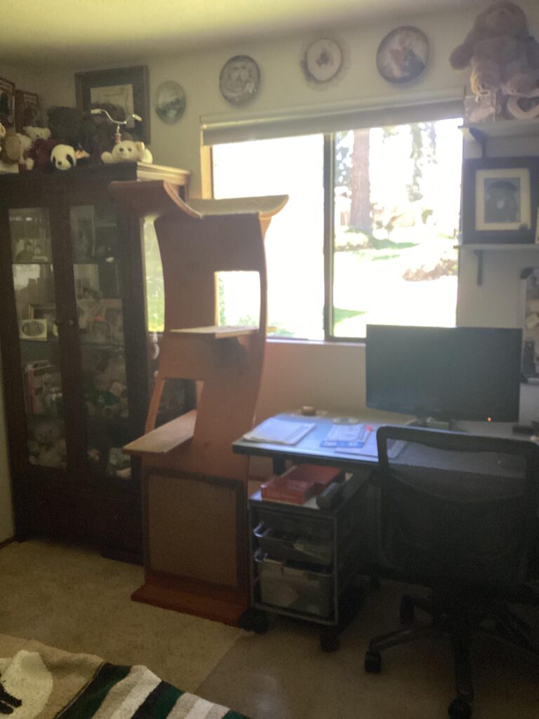 Image #2 from Rocket and Ripple C.