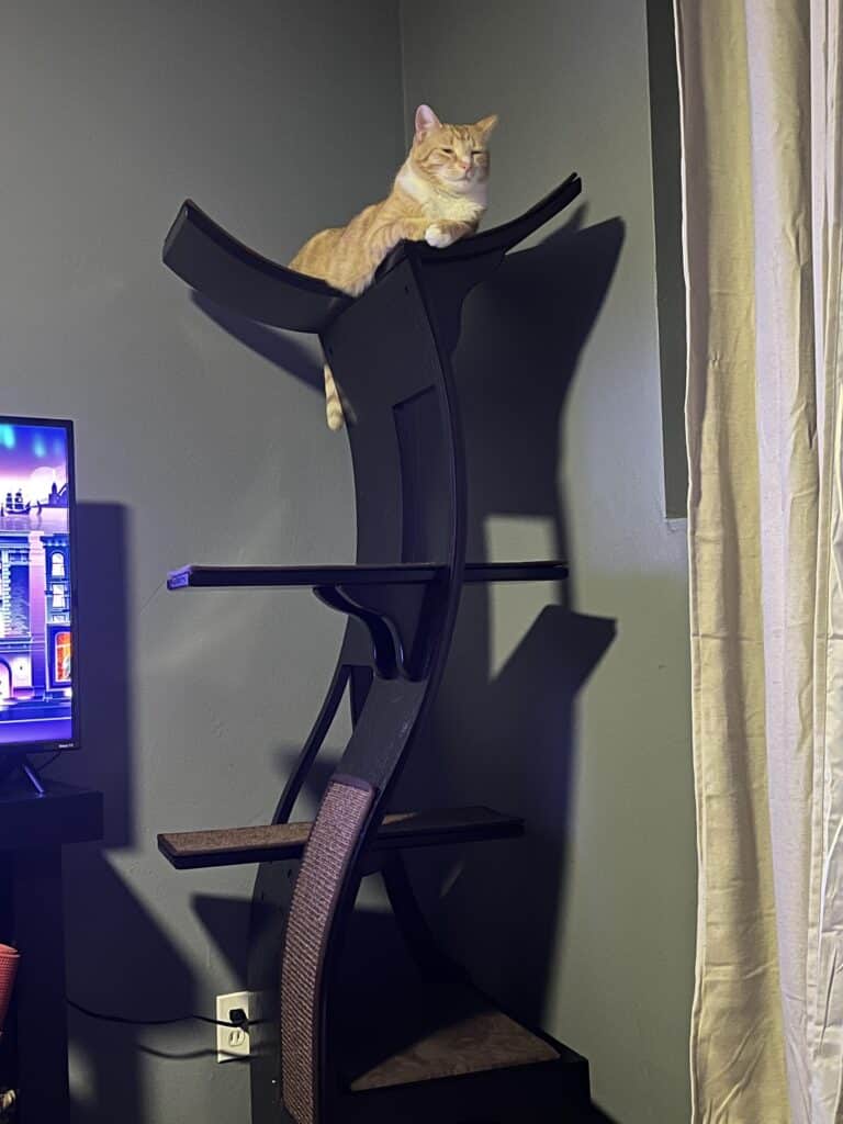 Image #2 from Sara L.