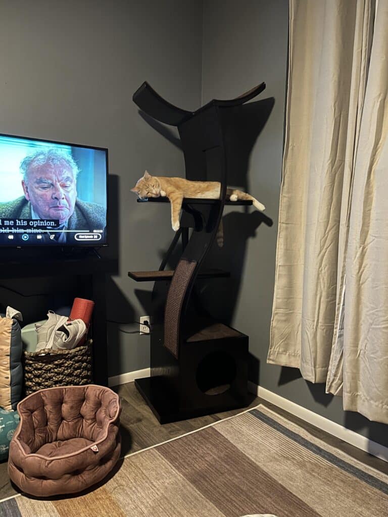 Image #1 from Sara L.