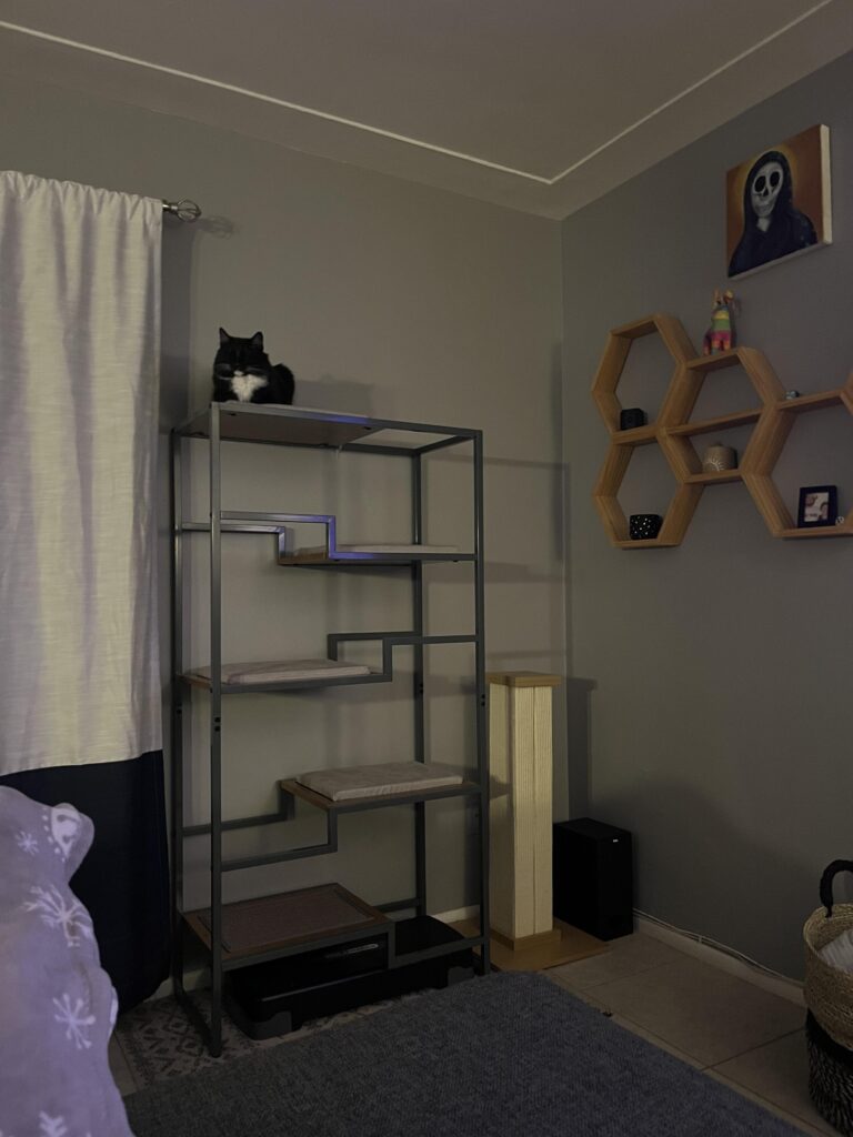 Image #1 from Sara L.