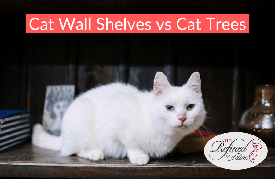 White cat lying on a dark wooden shelf beside books, under text comparing cat wall shelves vs trees; logo in corner.