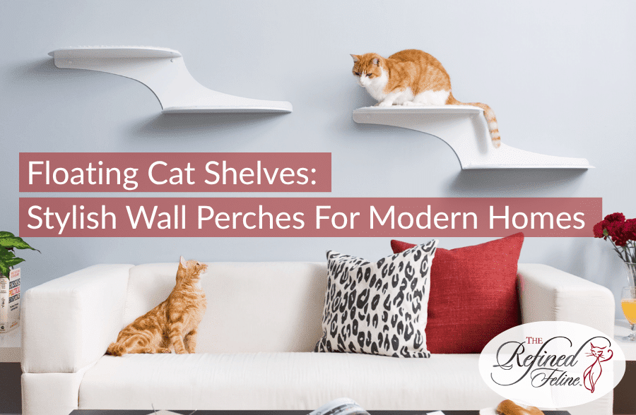 Floating Cat Shelves
