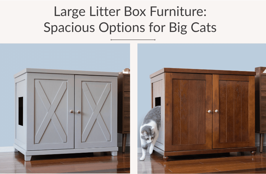Gray and brown large wooden litter box enclosures; a cat enters the brown one. Text: Large Litter Box Furniture: Spacious Options for Big Cats.