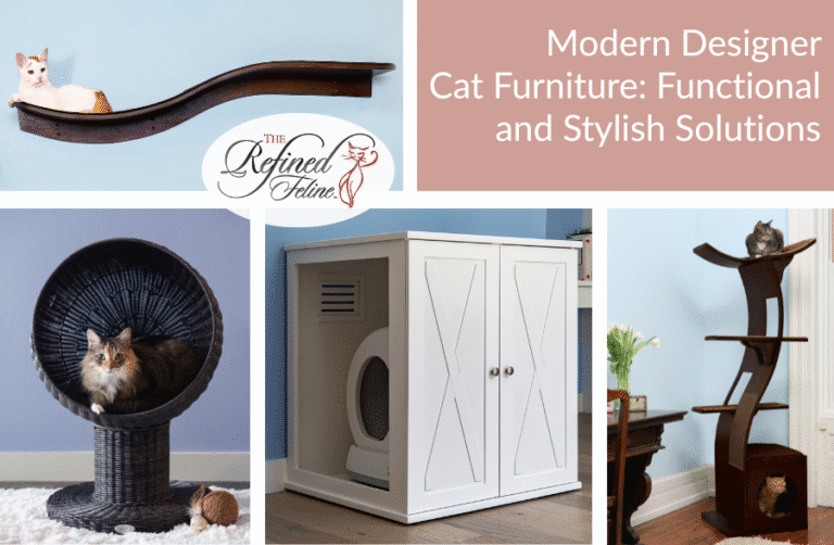 Luxury Cat Furniture That Complements Your Modern Home