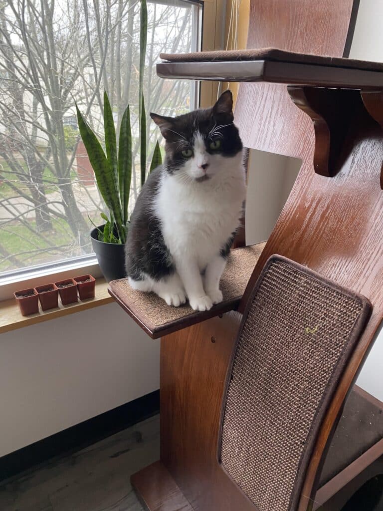 Image #1 from HelÃ©na