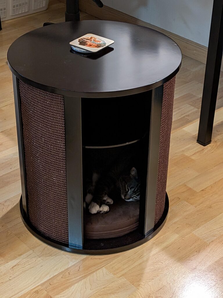 Image #1 from Sharon Perlmutter