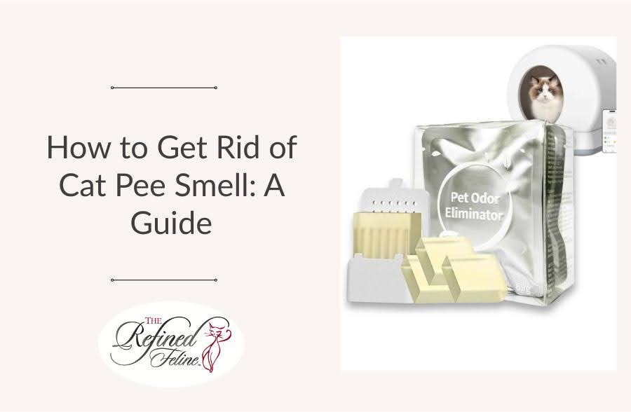 Pet odor eliminators, cat litter, and a cat in a litter box, with title: How to Get Rid of Cat Pee Smell.