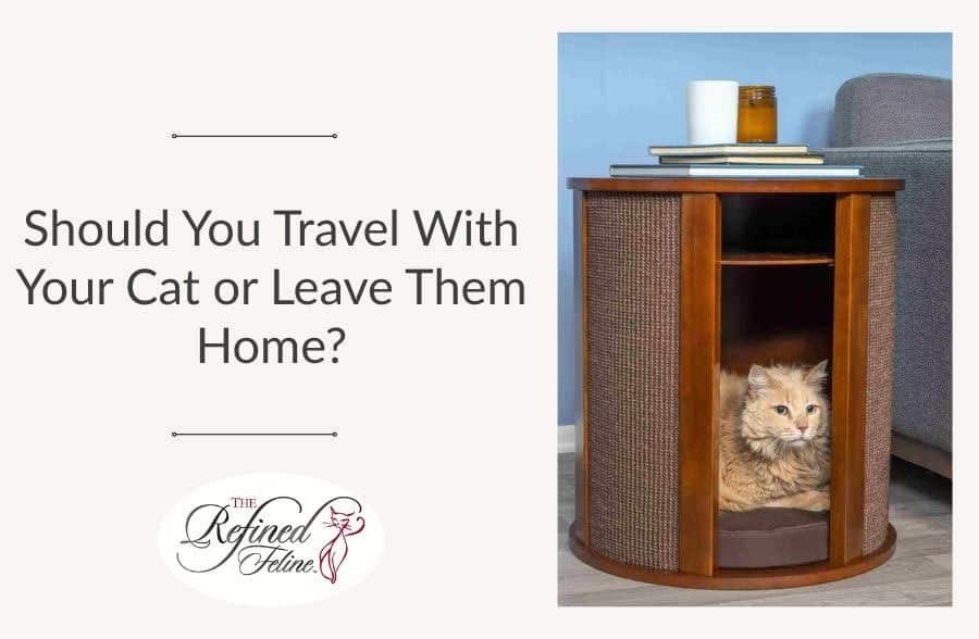 A fluffy orange cat sits inside a circular wooden side table by a sofa; text says, Should You Take Your Cat on Vacation or Leave Them Home?.