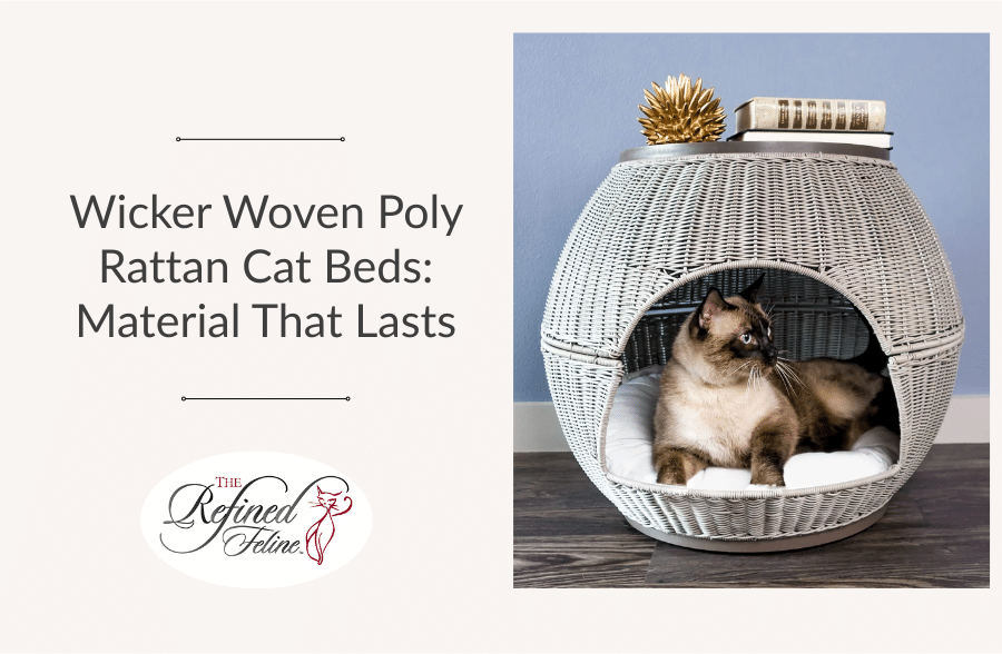 Cat resting in a round wicker bed with cushion; books and decor above. Text: Wicker Woven Poly Rattan Cat Beds—durable and stylish.