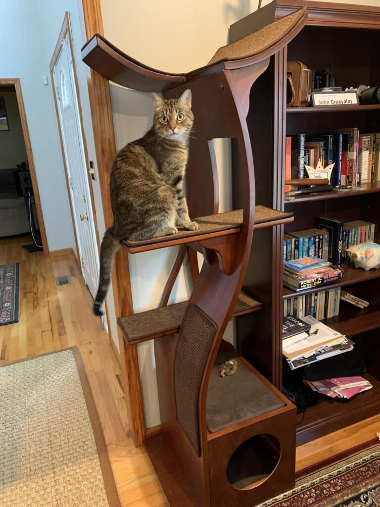 Image #1 from John Gracyalny