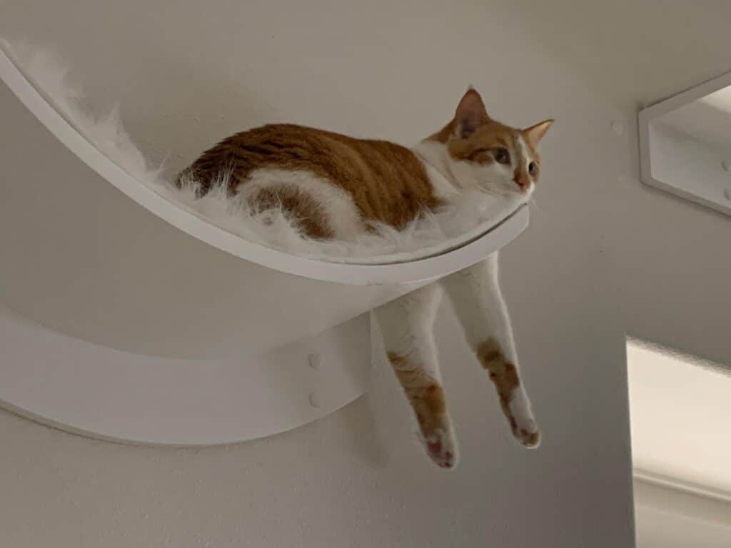 Image #2 from Bianca Kennedy