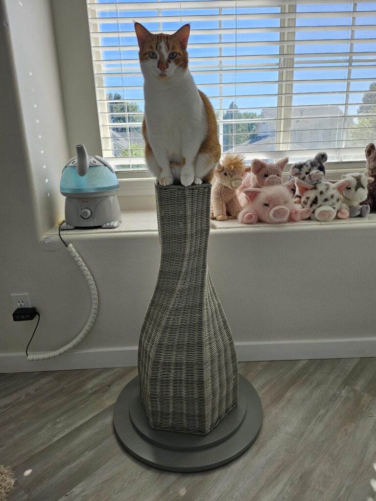 Image #3 from Bianca Kennedy