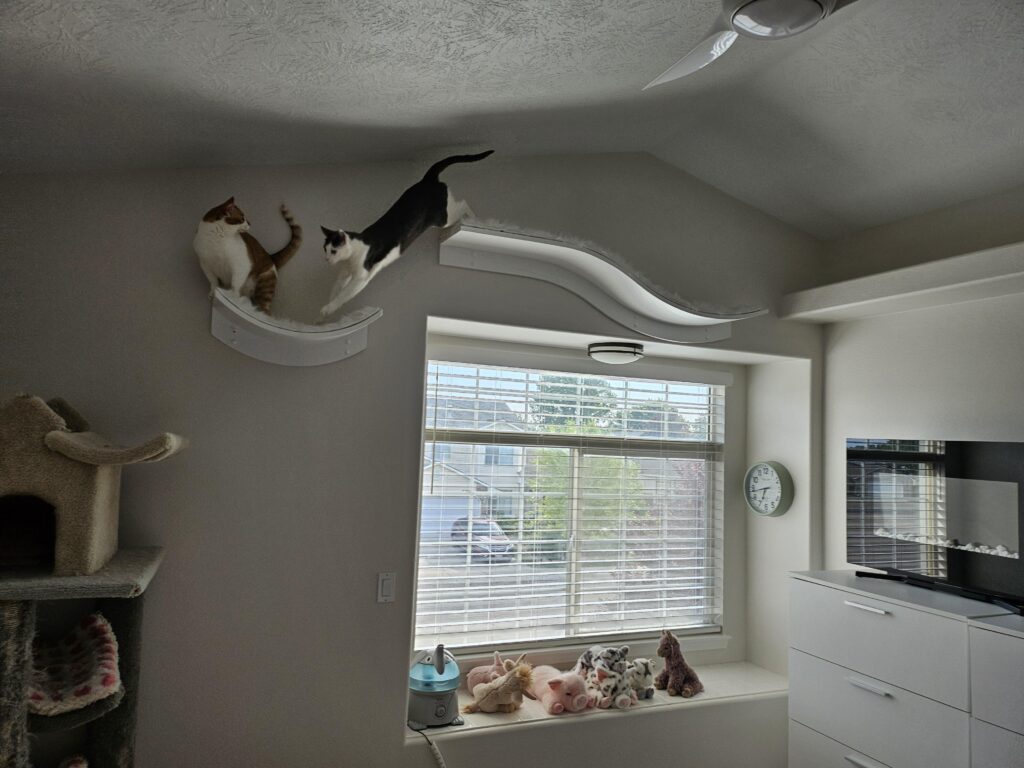 Image #1 from Bianca Kennedy