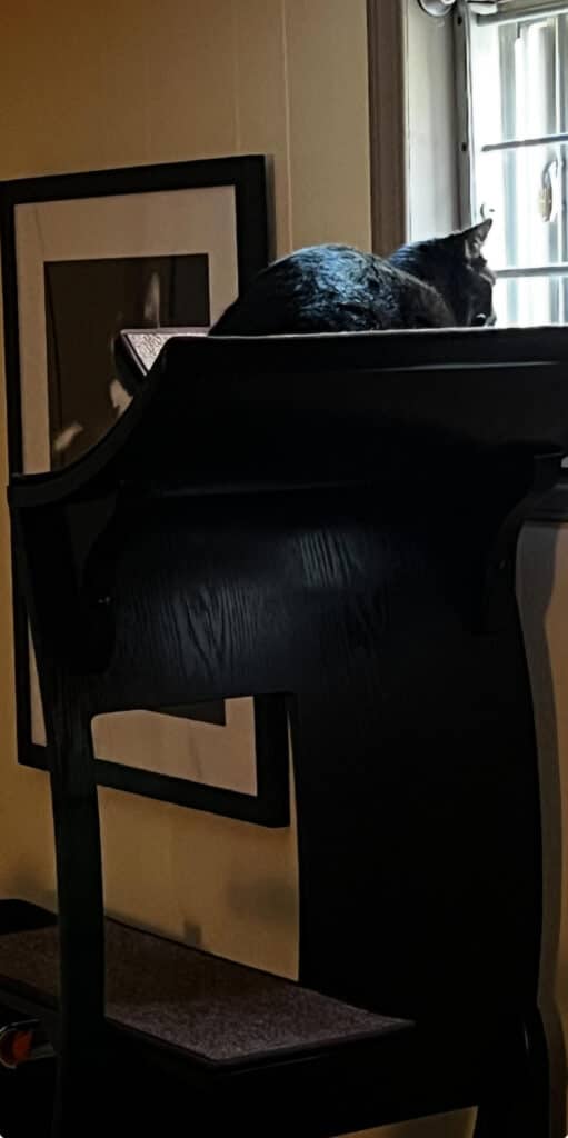 Image #2 from Kimberly Underwood