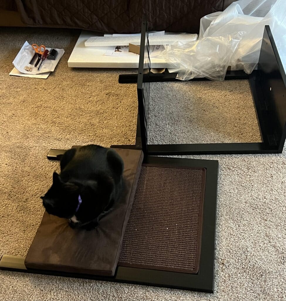 Image #1 from Brianne Smith