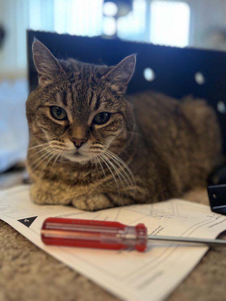 Image #4 from Brianne Smith