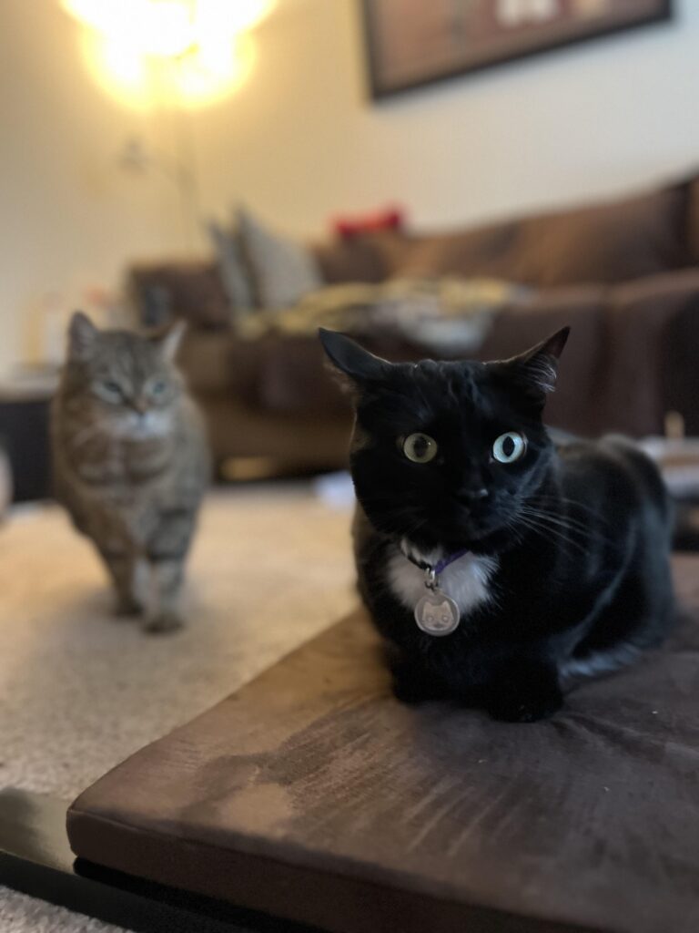 Image #5 from Brianne Smith