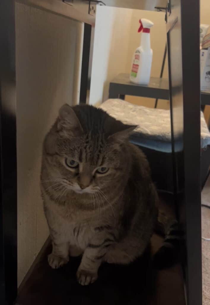 Image #3 from Brianne Smith