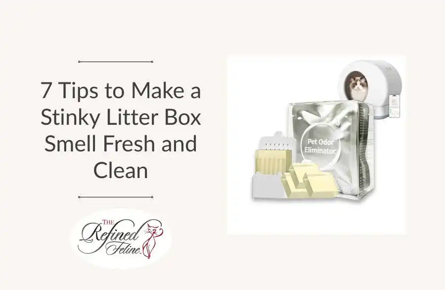Title “7 Tips to Make a Stinky Litter Box Smell Fresh”; feline logo; cat in litter box with odor products and baking soda.