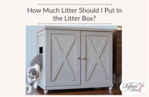 How Much Litter to Put in a Cat Litter Box