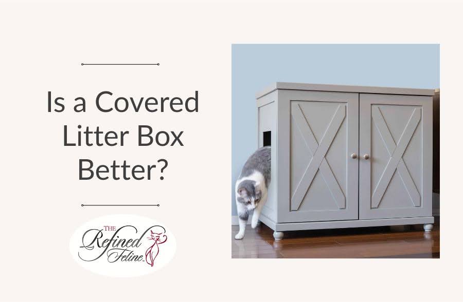 Gray and white cat entering a cabinet-style covered litter box; text reads, Is a Covered Litter Box Better? Refined Feline logo.