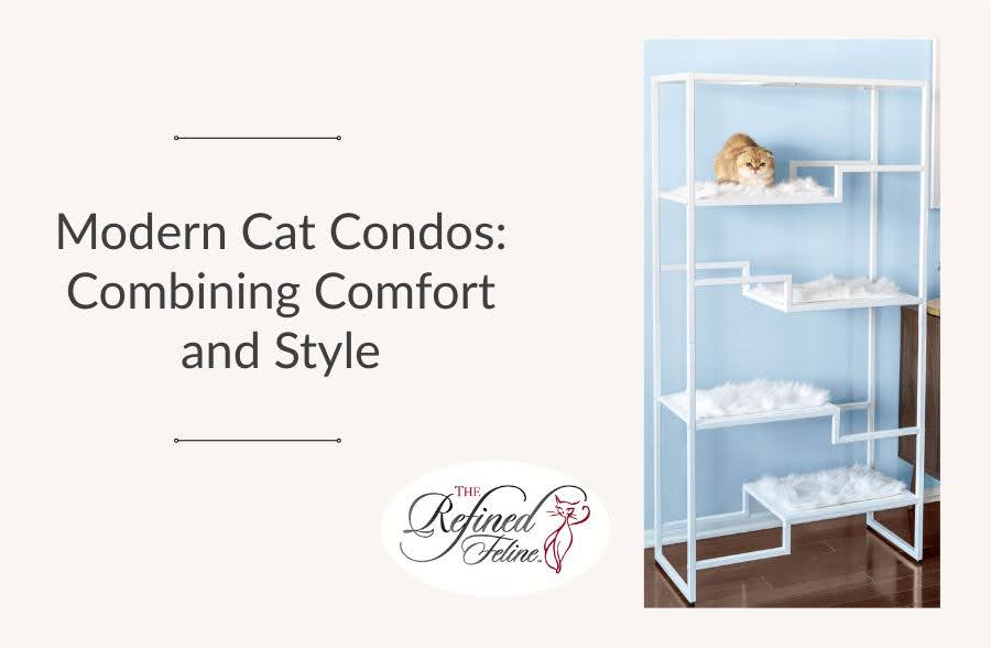 Modern Cat Condos