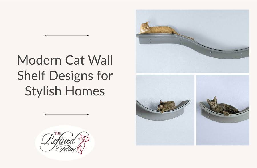Modern Cat Wall Shelf Designs for Stylish Homes