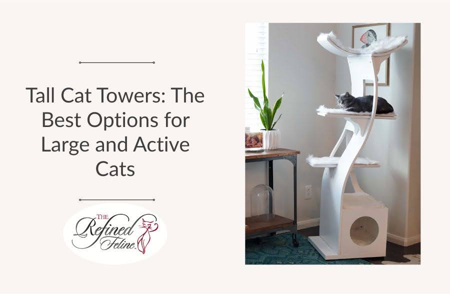 Tall Cat Towers: The Best Options for Large and Active Cats