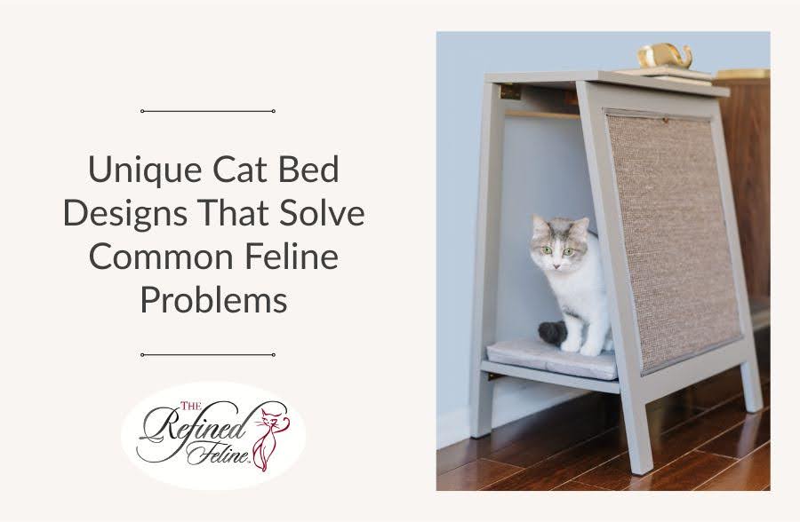 Cat on cushioned platform in modern wooden cat bed with scratch panel; text promotes unique cat bed designs.