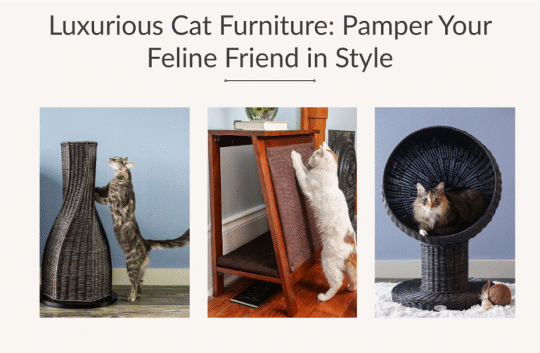 Curated visual reference: Visual Reference: Luxury Cat Furniture That Complements Your Modern Home